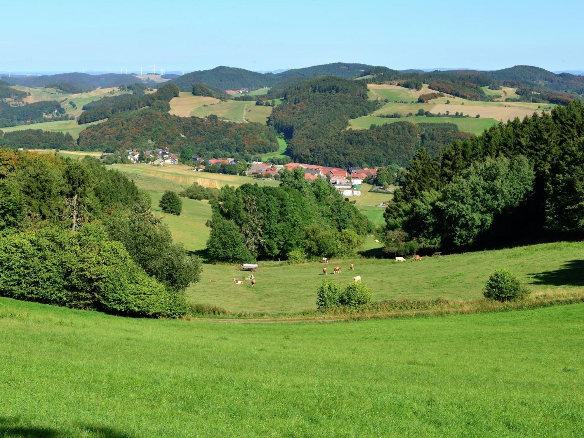 Quaint Apartment In Eimelrod Near Lake And Water Sports Willingen  Exterior photo